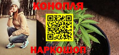 гидра Комсомольск-на-Амуре