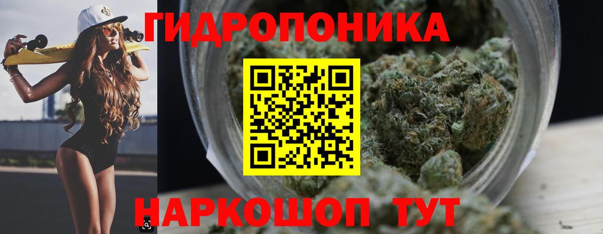 Бошки Шишки планчик Новокузнецк